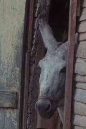 Machete Gillette... Mama Poster