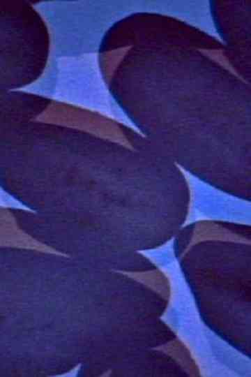 The Sons of Bitches Turned Out the Lights Poster