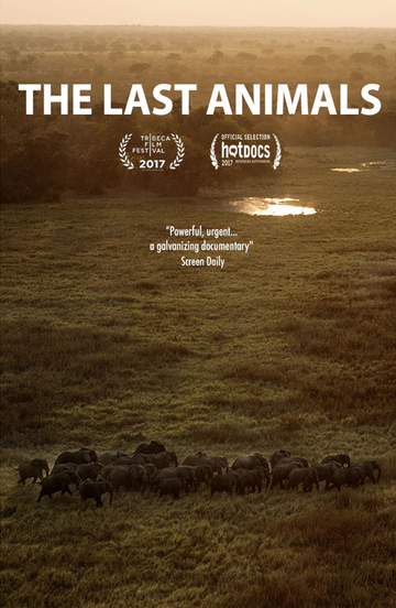 The Last Animals Poster