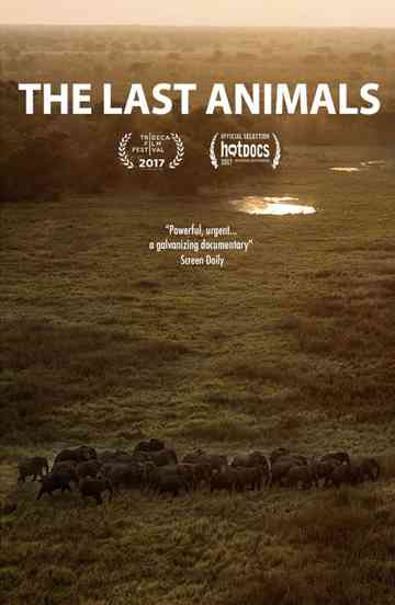 The Last Animals Poster