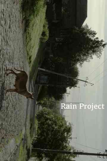 Rain Project Poster