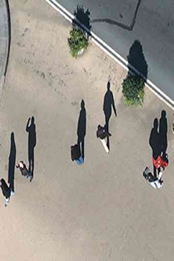 Picture Taking Poster