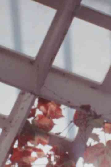 Return To Forms Poster