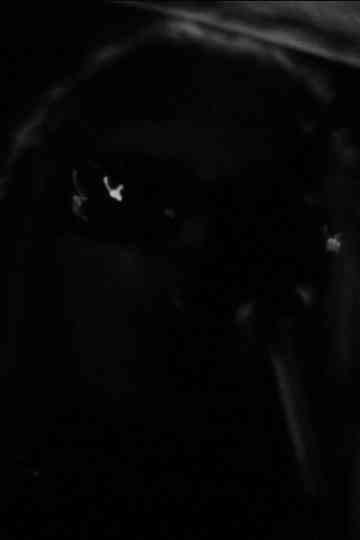 One Roll in the Blackness Poster