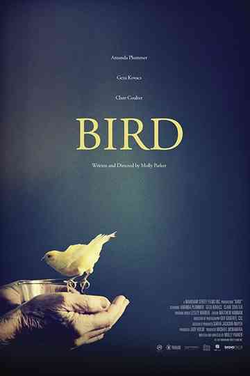 Bird Poster