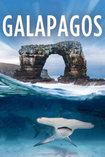 Galapagos Poster