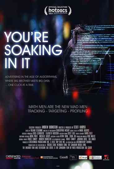 Youre Soaking in It poster