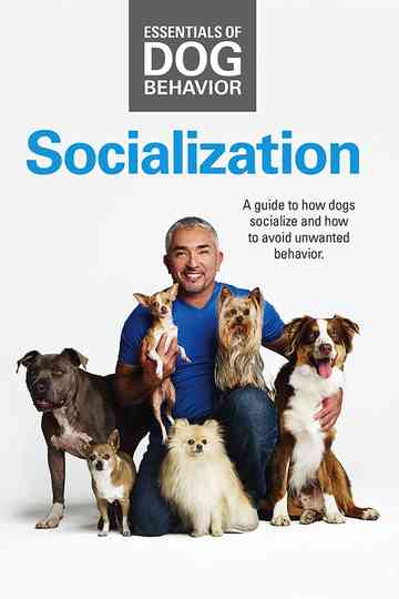 Essentials of Dog Behavior: Socialization Poster