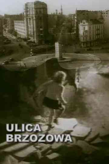 Brzozowa Street Poster