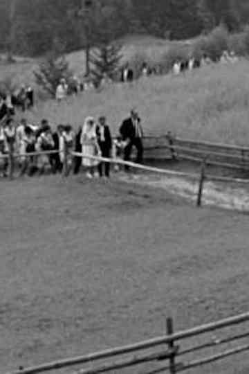 Sloping Fields Poster