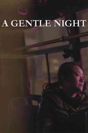 A Gentle Night Poster