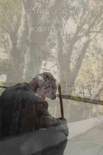 Among the Eucalyptuses Poster