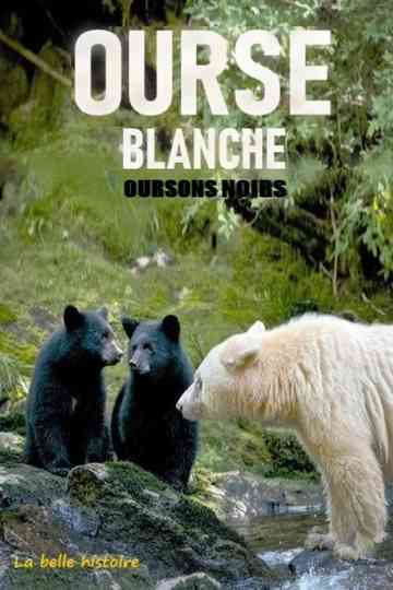 Ourse blanche, oursons noirs : la belle histoire Poster