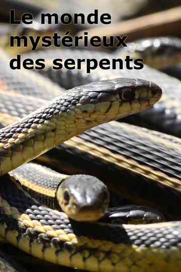 Le monde mystérieux des serpents Poster