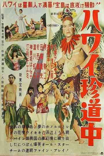 Road to Hawaii Poster