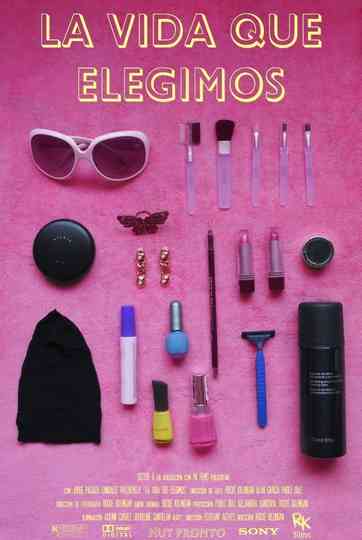 The Life We Have Chosen Poster