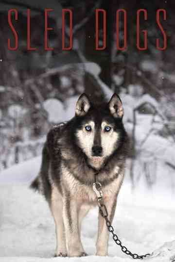Sled Dogs Poster