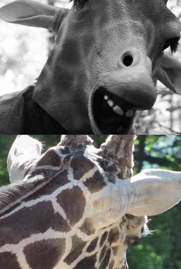 Tales of a Future Past Poster