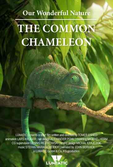 Our Wonderful Nature  The Common Chameleon Poster
