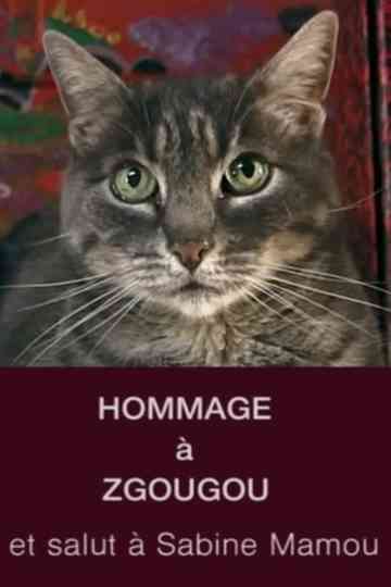 Tribute to Zgougou the Cat Poster