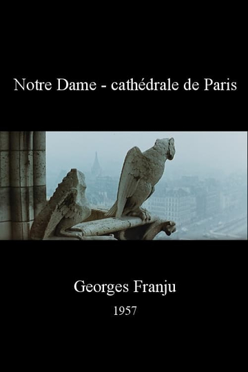 Notre Dame  cathédrale de Paris