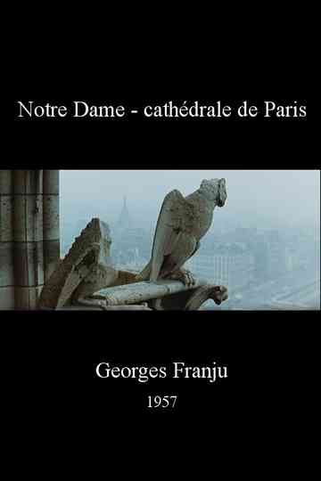 Notre Dame, cathédrale de Paris Poster