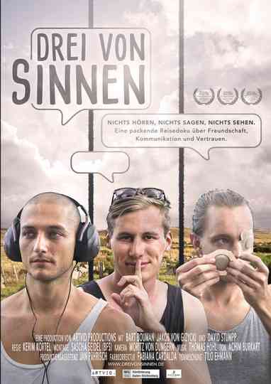 Drei von Sinnen Poster