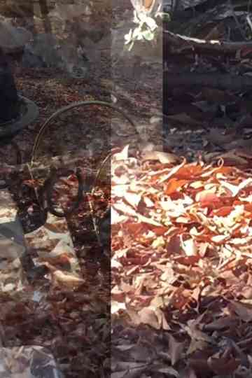 Ever Reaching Fairly Preachily Poster