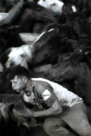 Rapa das Bestas Poster