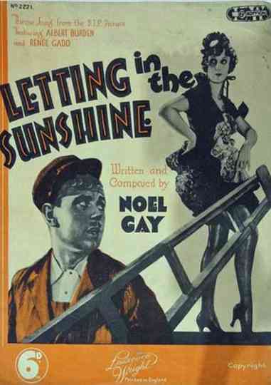 Letting in the Sunshine Poster