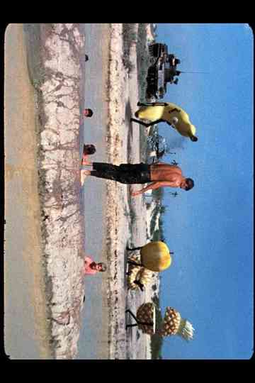 Division Movement to Vungtau Poster