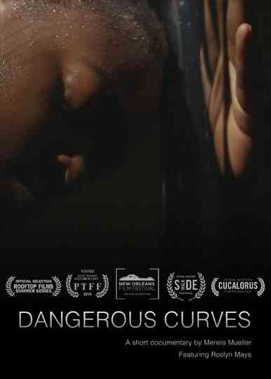 Dangerous Curves poster