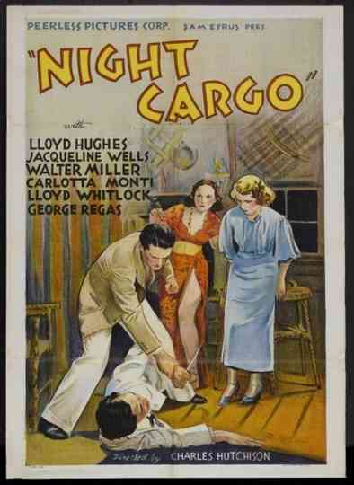 Night Cargo Poster