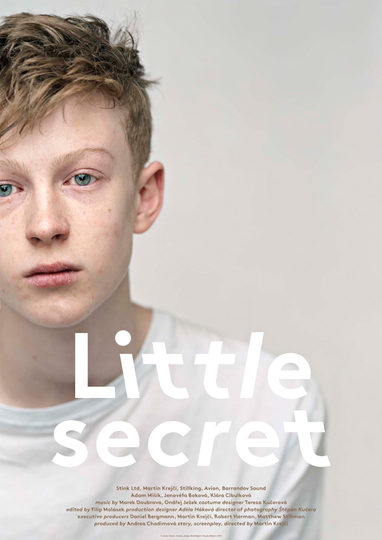 Little Secret Poster