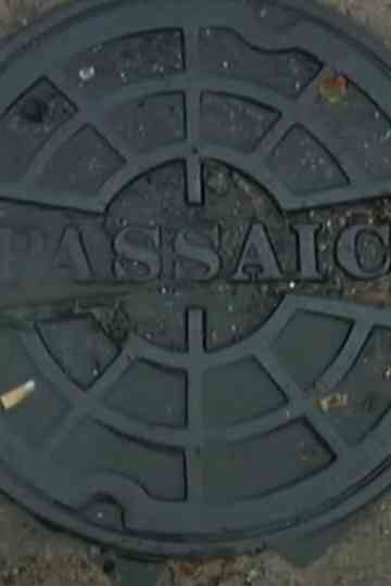 Passaic Mosaic Poster