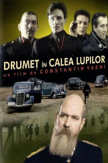 Drumeț în calea lupilor Poster