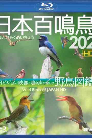 Wild Birds of Japan Poster