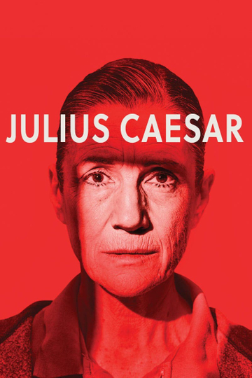 Julius Caesar Poster