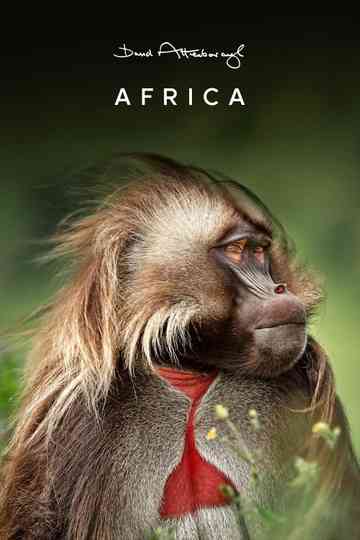 Africa poster