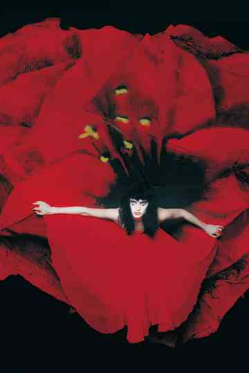 The Smashing Pumpkins Live At Fox Theater Live on August 4 1998 Poster