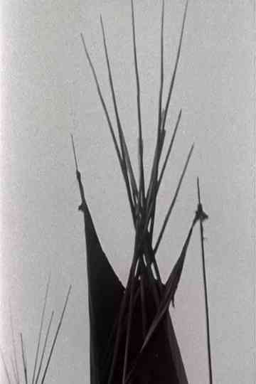 A Pinto for the Prince Poster