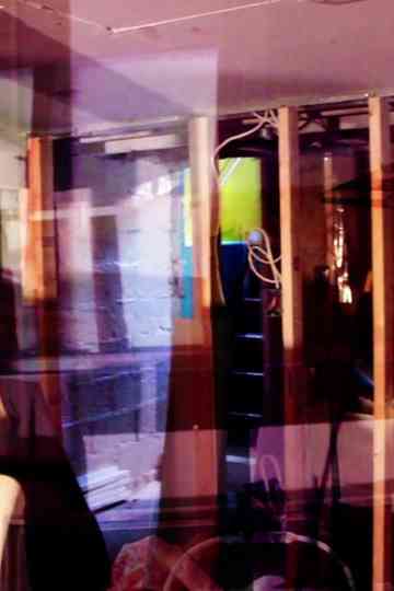 Carousel Study Poster