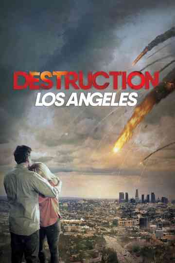 Destruction: Los Angeles Poster