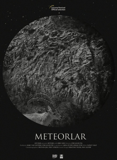 Meteors Poster