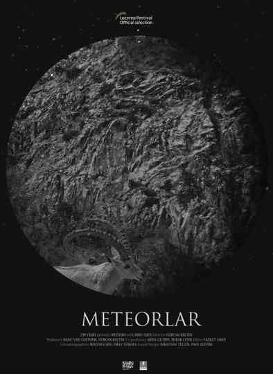 Meteors Poster