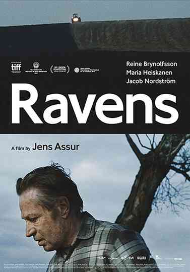 Ravens Poster