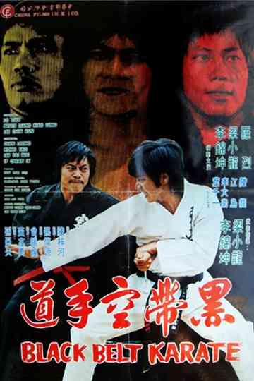 Black Belt Karate Poster