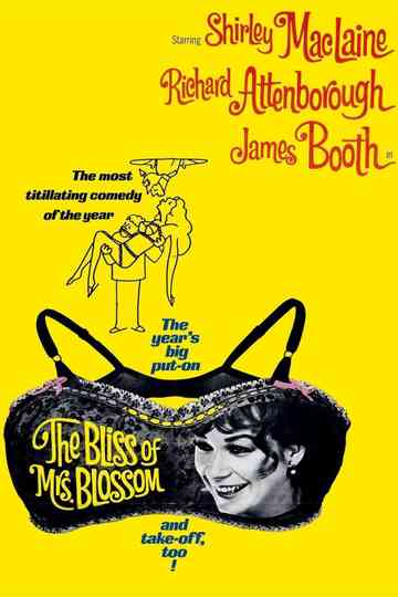 The Bliss of Mrs. Blossom Poster