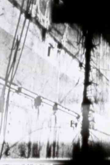 Skin of the City Poster