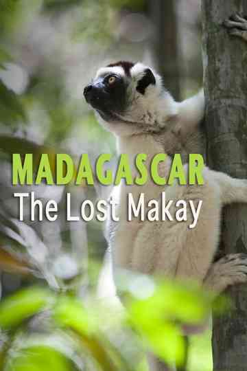 Madagascar The Lost Makay Poster